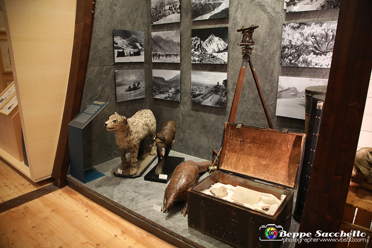 VBS_0931 - Riapre il Museo di Scienze Naturali dopo dieci anni di chiusura.jpg